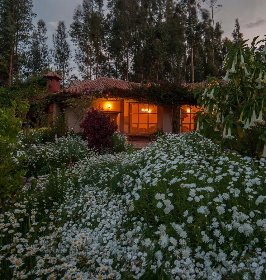 Hotel Willka T'Ika à Urubamba Extérieur photo